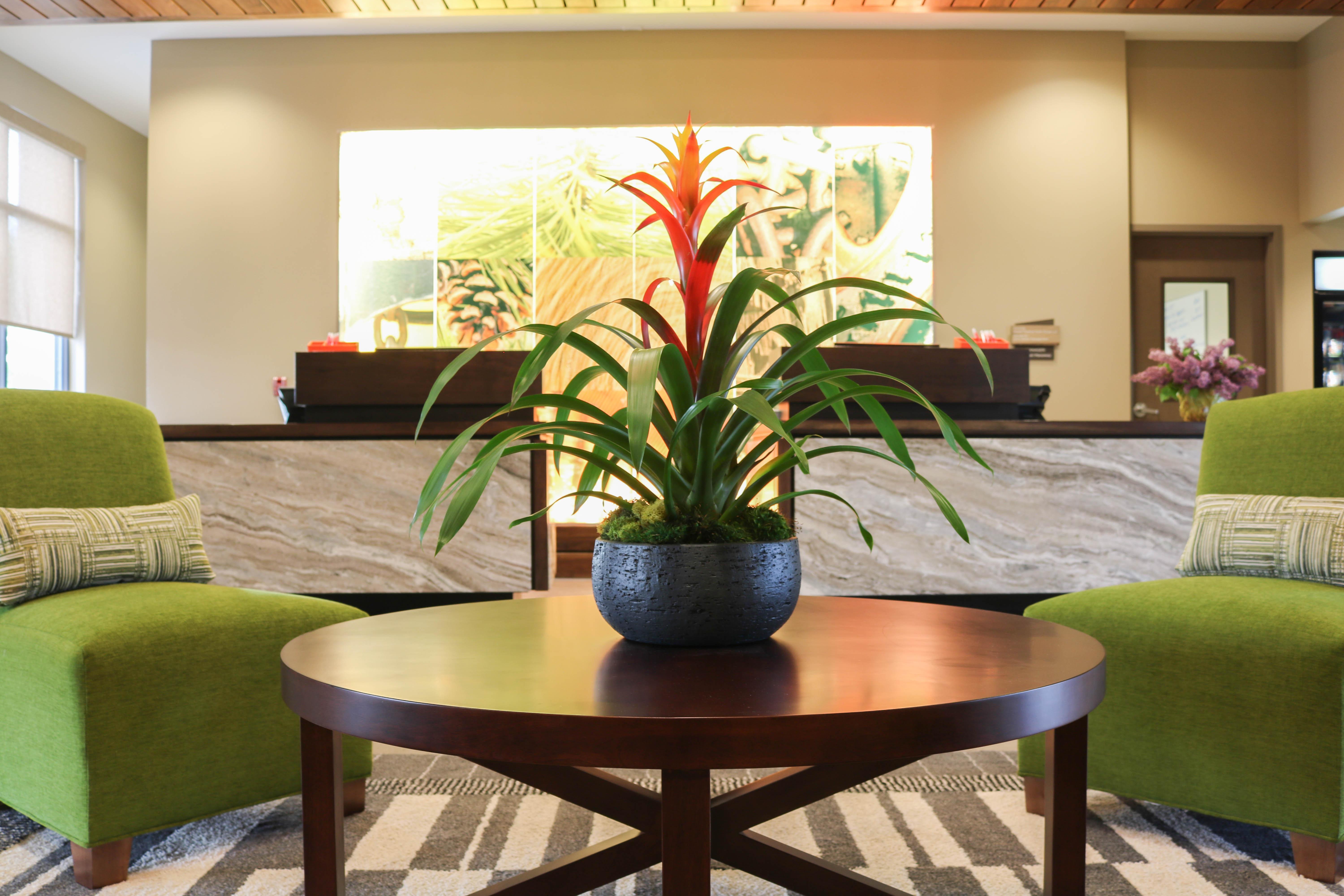 Hotel Indigo Traverse City By Ihg Eksteriør billede